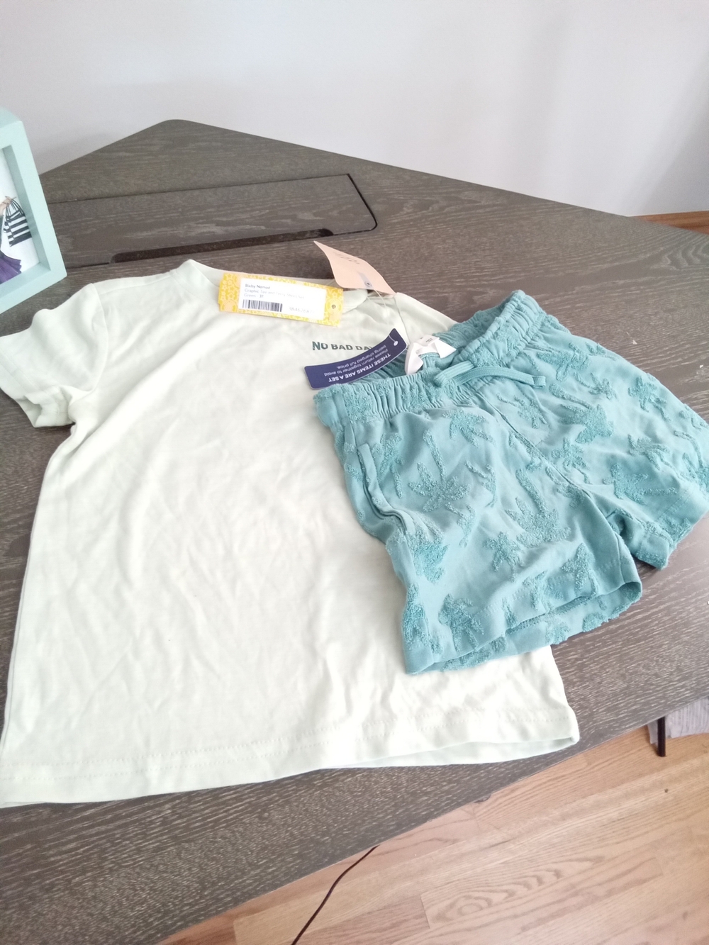 NWT Bixby Nomad Boys Graphic Tee & Terry Shorts Set Green 3T